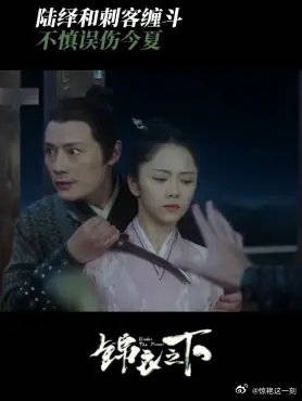 陆绎和刺客缠斗 不慎误伤今夏，这下糟了