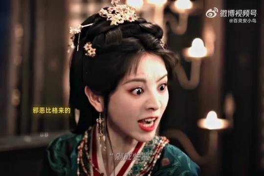 很难不被君黛吸引,比格美人真的很有记忆点