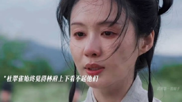 杜翠雀被发配琼州怨林锦岐不纳妾，多年后成海匪头子归来复仇