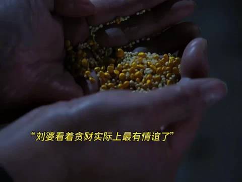 刘婆看似贪婪却也是有情有义，是她教魏娆唱曲写字还有自保！