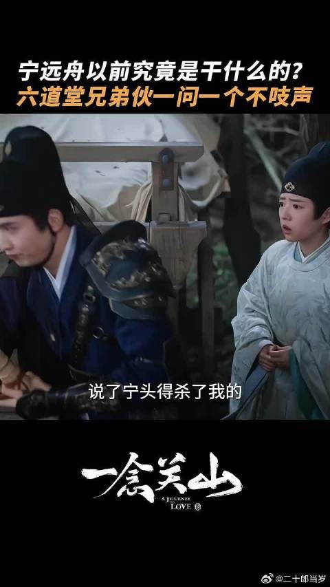 所以宁远舟以前的职业究竟是?
