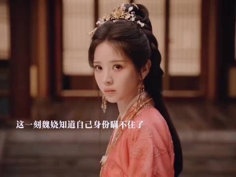 魏娆身份暴露被周芙派人带入皇宫