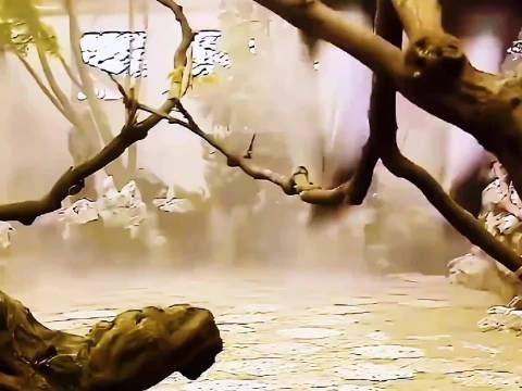 86版《西游记》八戒有一绝招,你知道是什么招吗?
