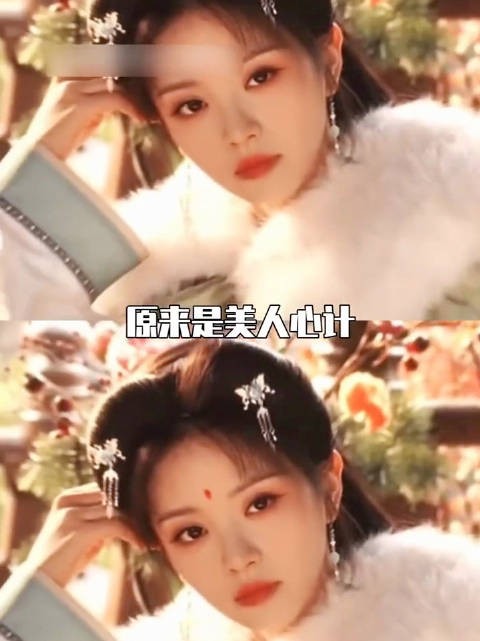 嫁金钗讲的是美人心计儿孙辈子的故事?