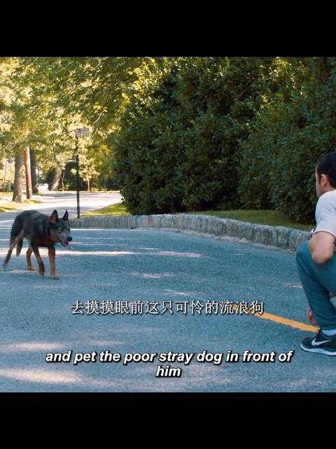 男子伸手摸流浪狗