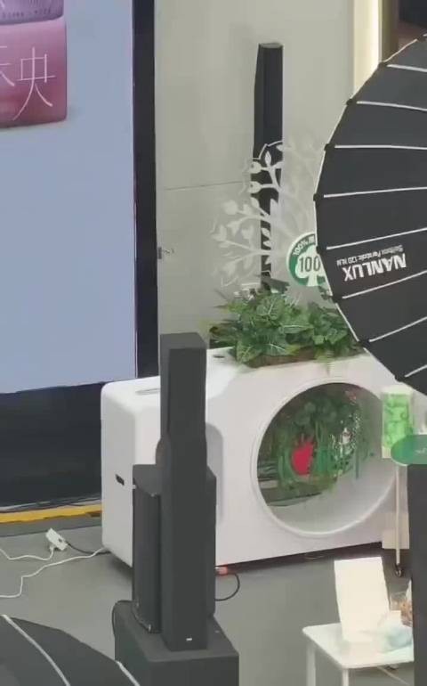 樊振东化身白马王子露面，一出场就是全场焦点