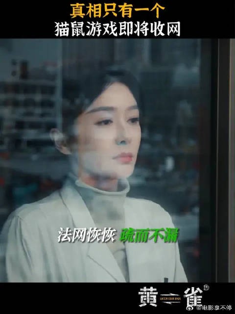 千丝万缕汇为一处,真相只有一步之遥