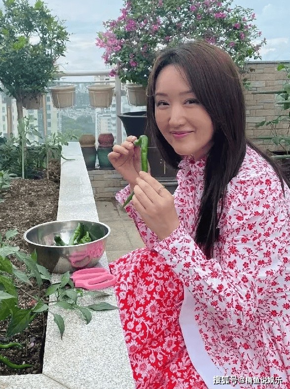 55岁杨钰莹独自在豪宅种菜,无儿无女,与狗相伴,美如20岁少女