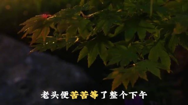 傲慢富豪病重乞求保姆垂怜 美丽揭两年前真相