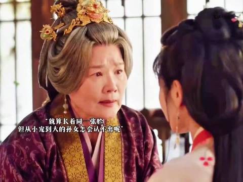 嫁金钗反转大伯母是幕后主谋