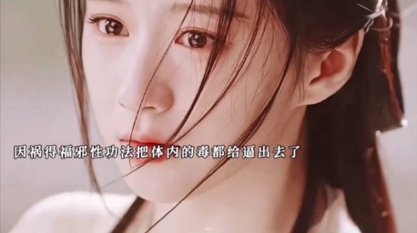 大结局昭昭慕慕he，慕清晏入赘到落英谷，与蔡昭幸福生活 江湖夜雨十年灯