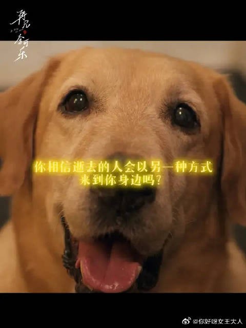 看哭了，或许这是个美丽的巧合，但愿意相信他来过