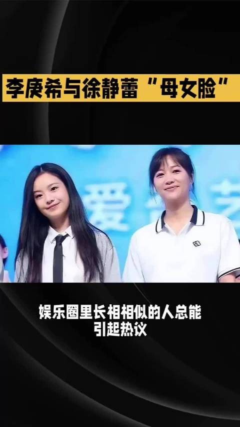 李庚希与徐静蕾:相似容颜下的星途交织