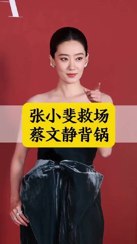 张小斐救场 蔡文静背锅