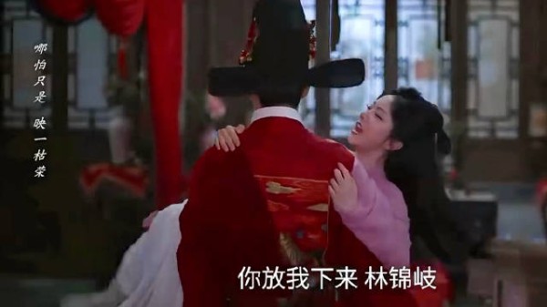 被强娶后直呼林锦岐其名，唯独对男主甩脸子
