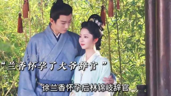 许兰香怀孕林锦岐辞官回金陵助林秀茹和离翻身