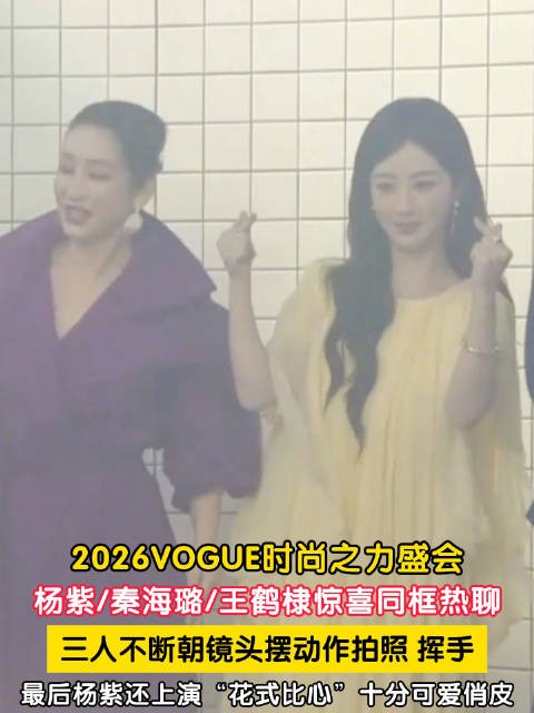 杨紫秦海璐王鹤棣同框热聊
