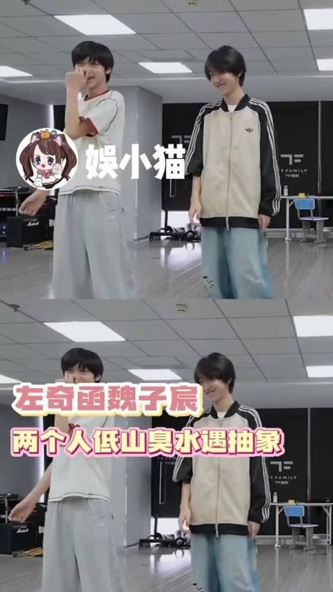 左奇函魏子宸低山臭水遇抽象 搞笑