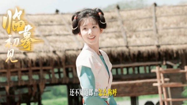 刘文吉对春华一见钟情,考中进士求娶春华