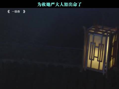 为救她严大人豁出命了