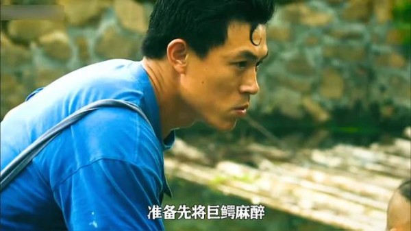 养了几十年养出几千斤鳄鱼王!卖掉它那天,爷爷的噩梦才真正开始!