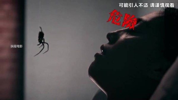 毒蛛垂落脸颊女子惊险逃生发现大楼封死