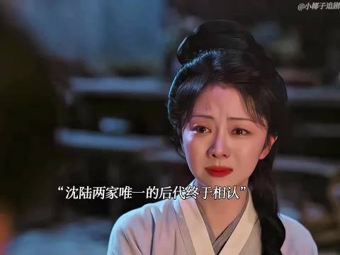 陆先生认出兰香身份，两家遭遇一模一样唯一那一个太痛