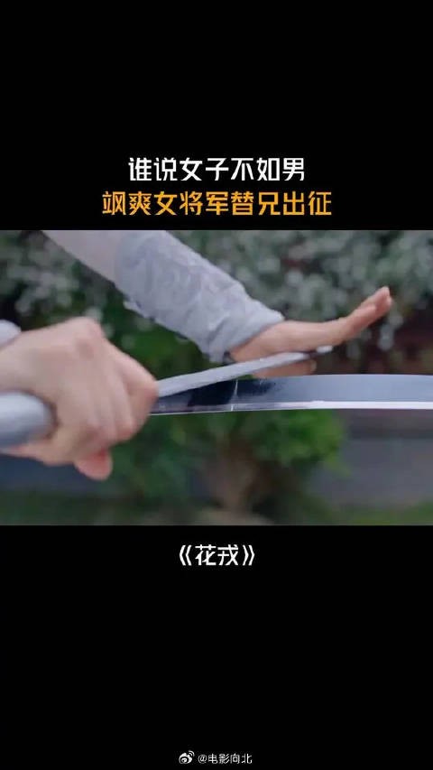 谁说女子不如男,飒爽女将军替兄出征