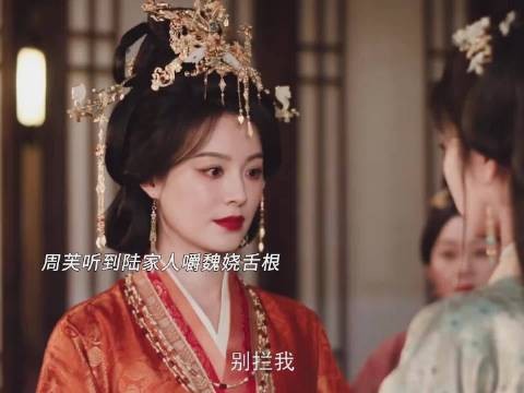 魏娆被陆家人嚼舌根，丽昭仪霸气护女