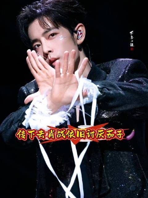 传下去肖战2026年了,依旧讨厌茄子且依旧喜欢小面包