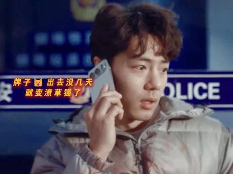 肖战小城良方刘铮亮拿大苦果，事业翻车心理创伤家里乱