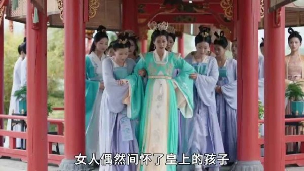 女人怀上了皇上的孩子，可她却始终高兴不起来