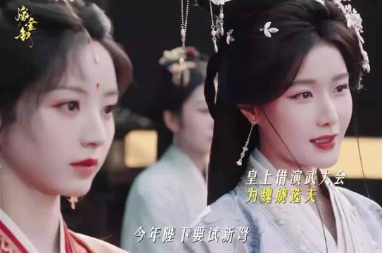 嫁金钗和离后宫里为魏娆选夫,陆濯嘴硬心机全使魏娆身上