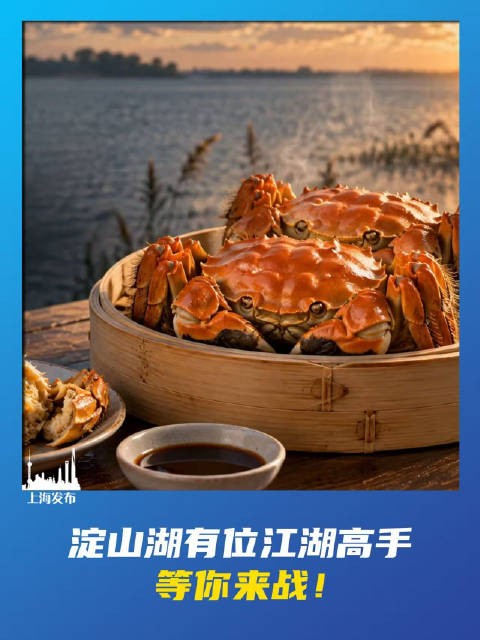 淀山湖有位江湖高手，等你来战！