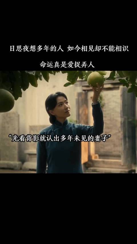 日思夜想多年的人如今相见却不能相识,命运真是爱捉弄人
