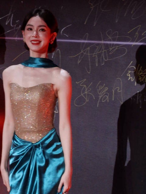 亮相文荣奖红毯 太美了