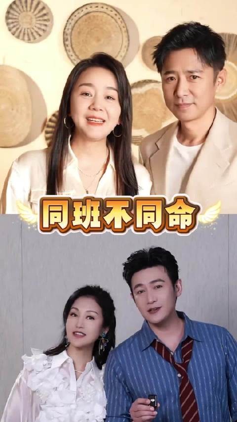 王一楠嫁金钗反派制霸荧屏,陆毅六姊妹收视破4