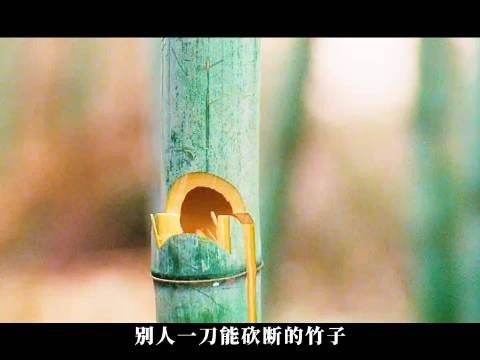 别人一刀断竹他偏多下三刀,以耐心从容破局
