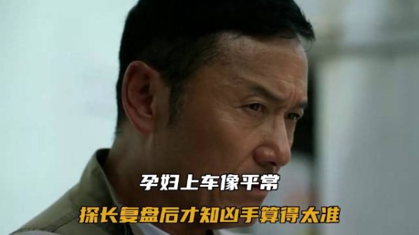 孕妇上车像平常,探长复盘后才知凶手算得太准