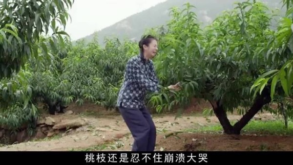 苦盼一年桃枝等回大力,桃林定终身许下风光大嫁