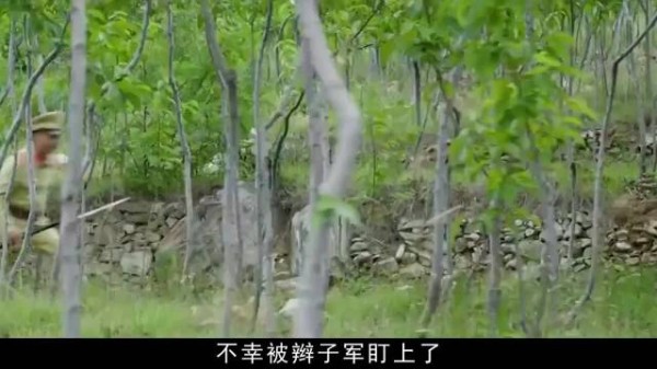 卖桃小伙被追捕逃入桃枝家,二人反抗推敌下悬崖