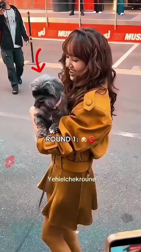 看来Lisa是一个很喜欢小动物的人