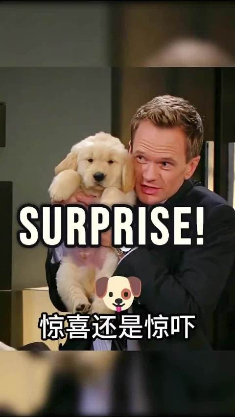 老爸老妈浪漫史精彩片段 巴尼这个演