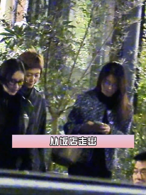 李冰冰、王子文、何润东等聚餐热聊，饭后一起出门挥手告别