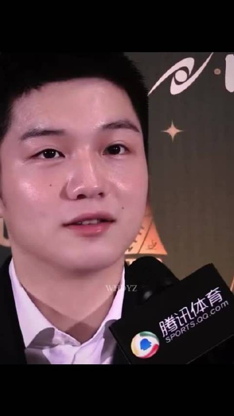 樊振东从2013年一直获提名，国家队眼光值得相信