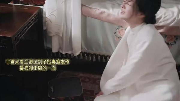 周洁琼演技好细腻，把对平君的怨恨和愧疚都呈现出来了