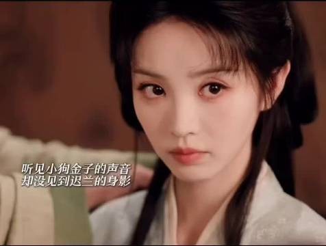嫁金钗魏娆又一侍女迟兰被害，碧桃走后阴影未散
