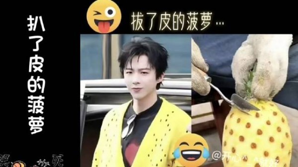 刘宇宁蔬菜水果生活用品战衣名场面