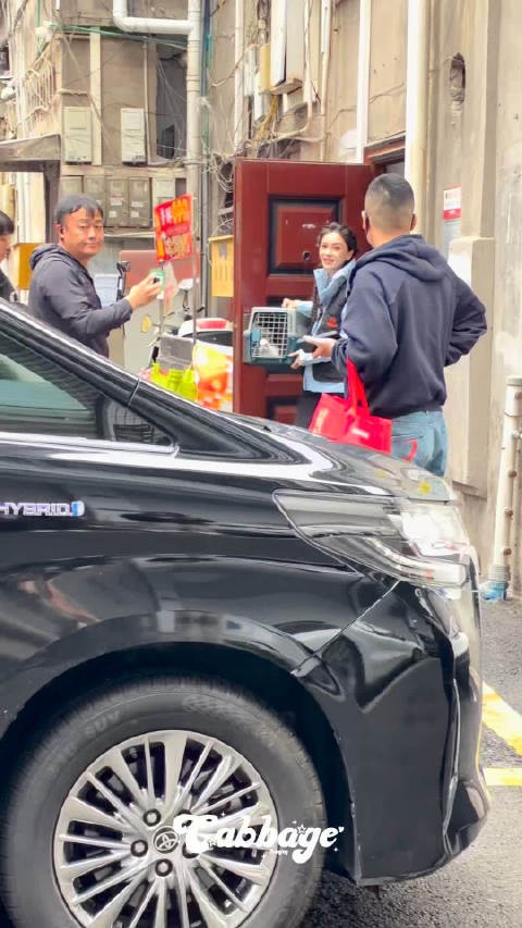 Angelababy与超哥救助小动物,叔侄善良同行