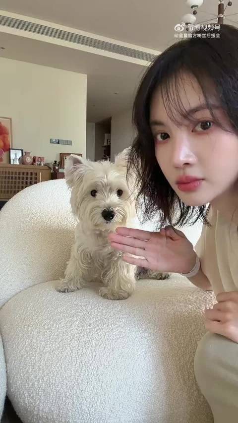 大喜好萌（*/∇＼*）丁丁好萌